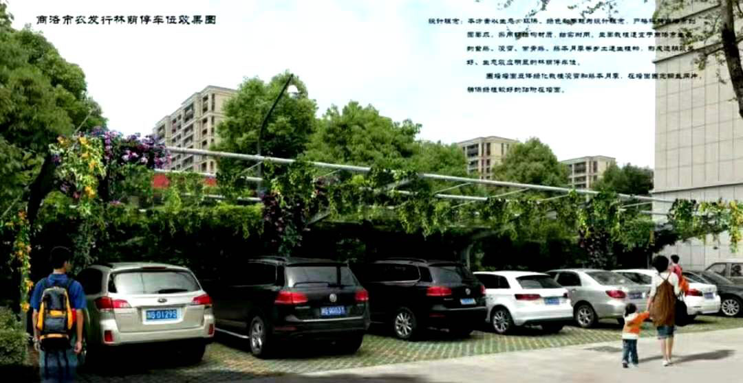 陜西省商洛市農(nóng)業(yè)發(fā)展銀行家屬院林蔭停車棚